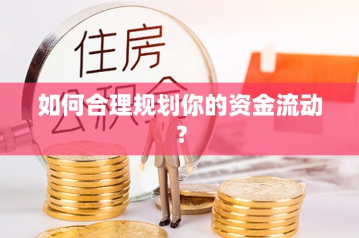海珠如何合理规划你的资金流动？
