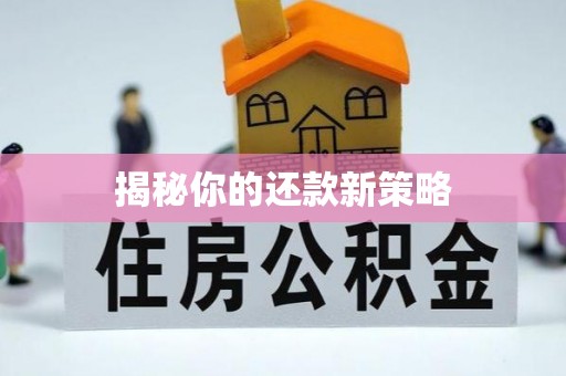海珠揭秘你的还款新策略