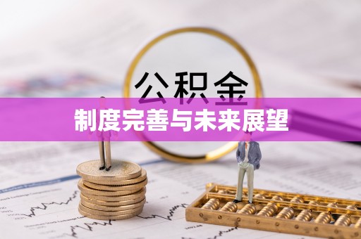海珠制度完善与未来展望