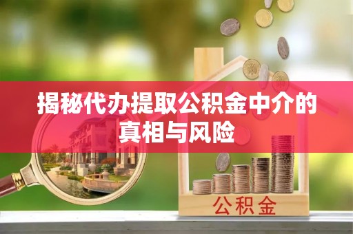 海珠揭秘代办提取公积金中介的真相与风险
