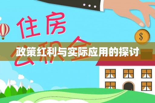 海珠政策红利与实际应用的探讨
