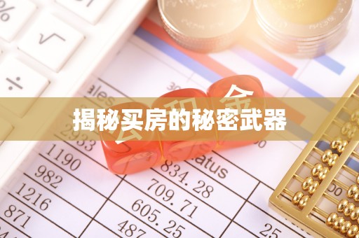 海珠揭秘买房的秘密武器