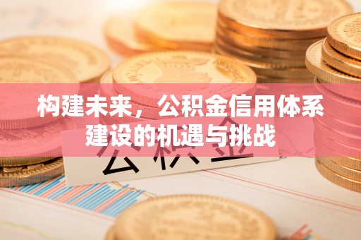 海珠构建未来，公积金信用体系建设的机遇与挑战
