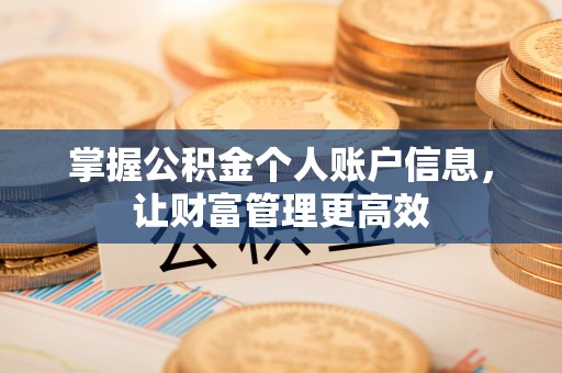 海珠掌握公积金个人账户信息，让财富管理更高效