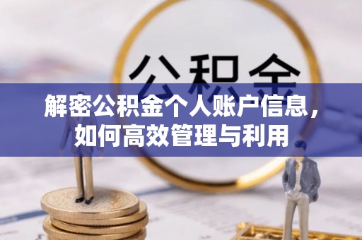海珠解密公积金个人账户信息，如何高效管理与利用