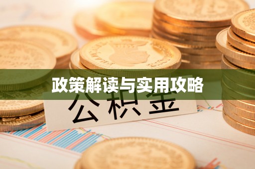 海珠政策解读与实用攻略
