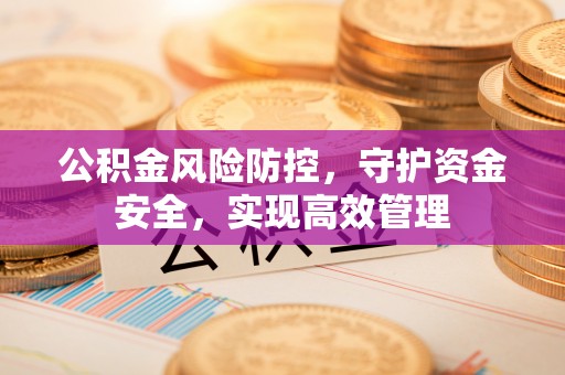 海珠公积金风险防控，守护资金安全，实现高效管理