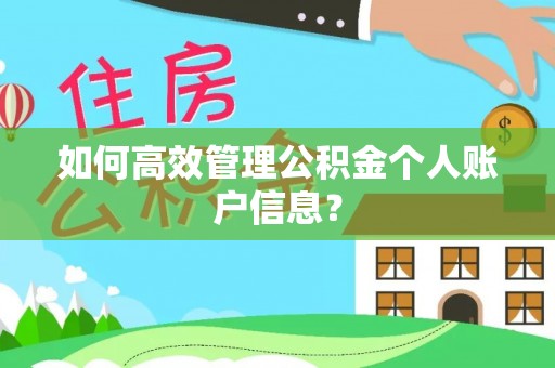 海珠如何高效管理公积金个人账户信息？