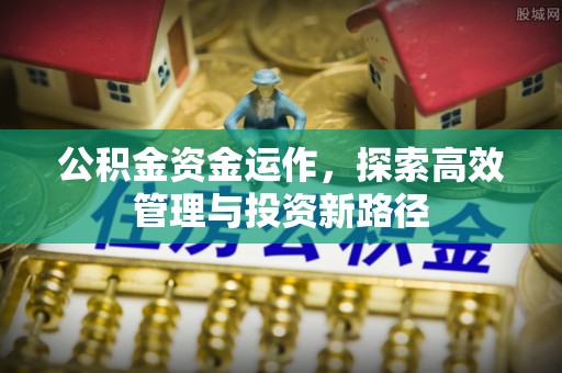 海珠公积金资金运作，探索高效管理与投资新路径