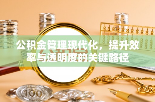 海珠公积金管理现代化，提升效率与透明度的关键路径